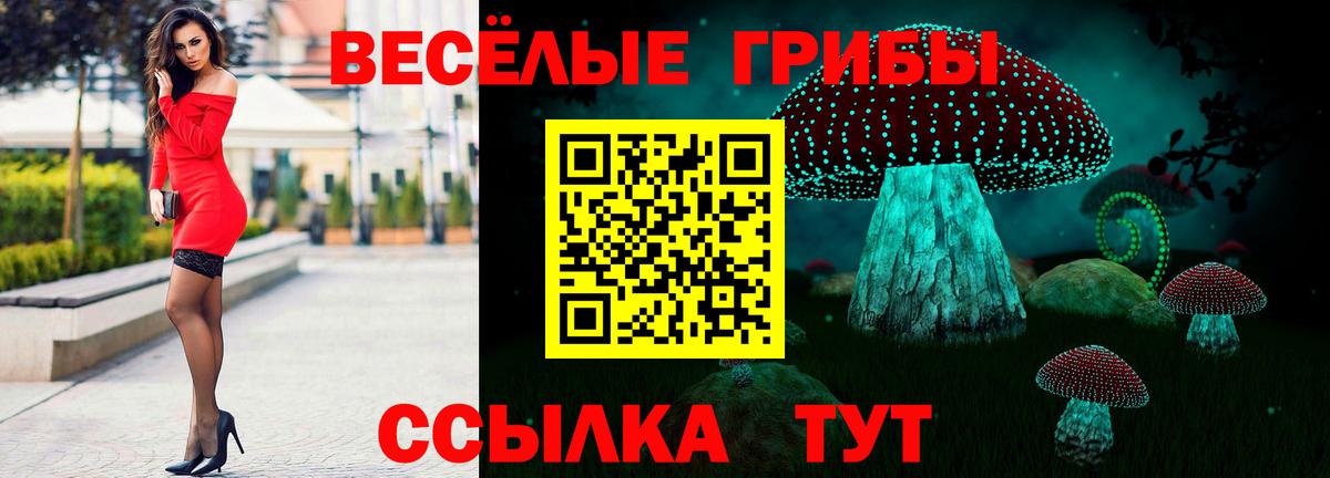 Псилоцибиновые грибы мухоморы  Вход с VPN  Саратов  Псилоцибиновые грибы мухоморы 